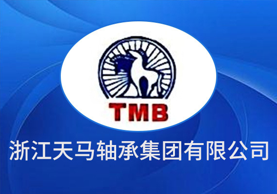 浙江天马轴承集团有限公司
